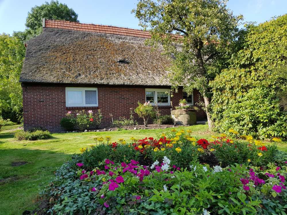 Evelyn Diesner Immobilien Traumhafter Landwohnsitz In Alleinlage Mit Idyllischem Altem Obstgarten Am Jadebusen
